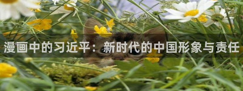 哪里看韩漫