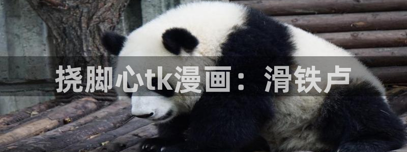 韩漫台版漫画免费阅读
